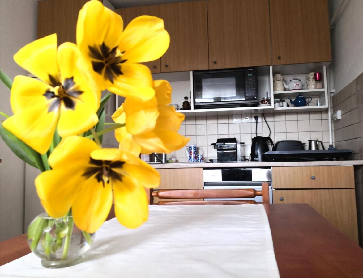 Domboldal Vendégház Noszvaj Esterno foto