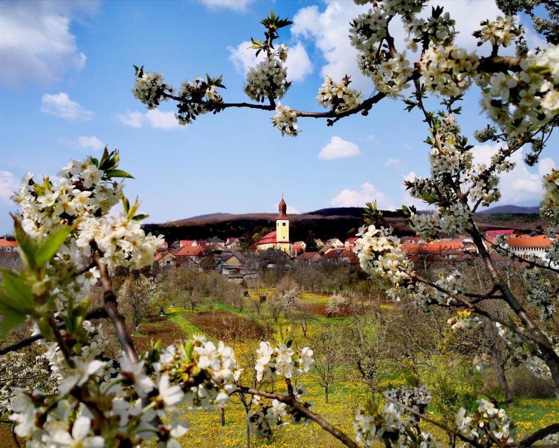 Domboldal Vendégház Noszvaj Esterno foto