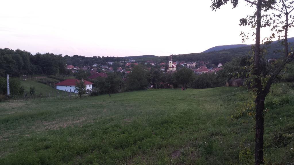Domboldal Vendégház Noszvaj Esterno foto