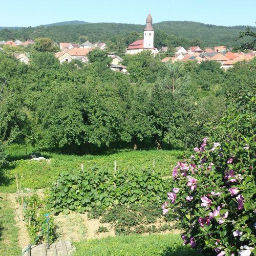 Domboldal Vendégház Noszvaj Esterno foto